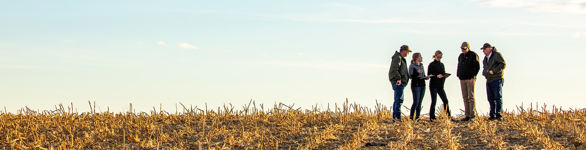 Five people standing in a field