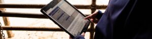 person typing on a tablet