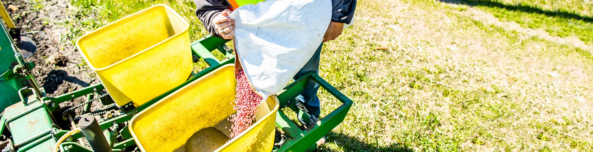 Seed being dumped into a planter