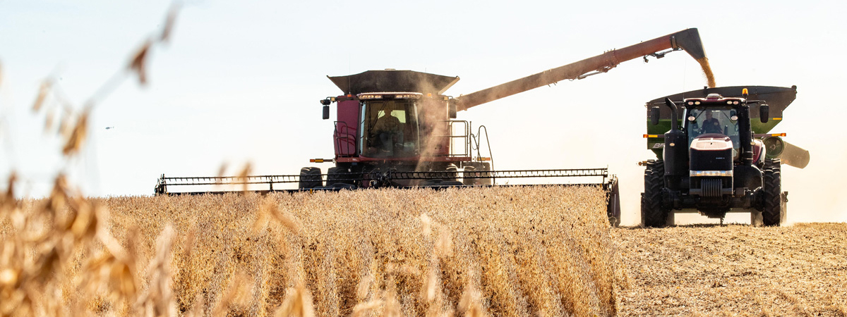 Combine and grain cart in a field during harvest
