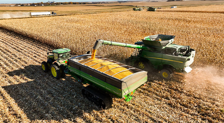 Corn being harvested