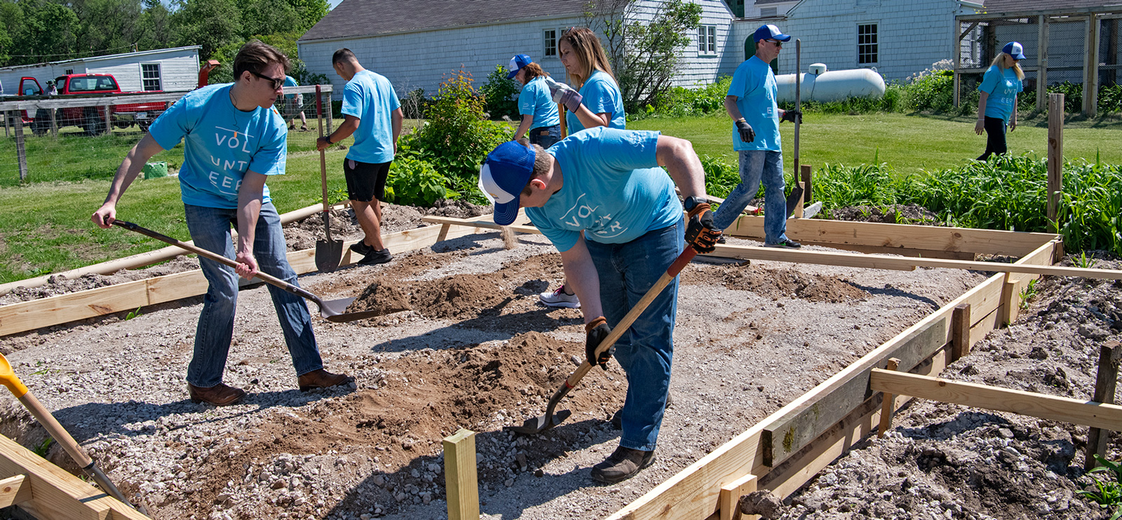 Group of people digging in garden beds